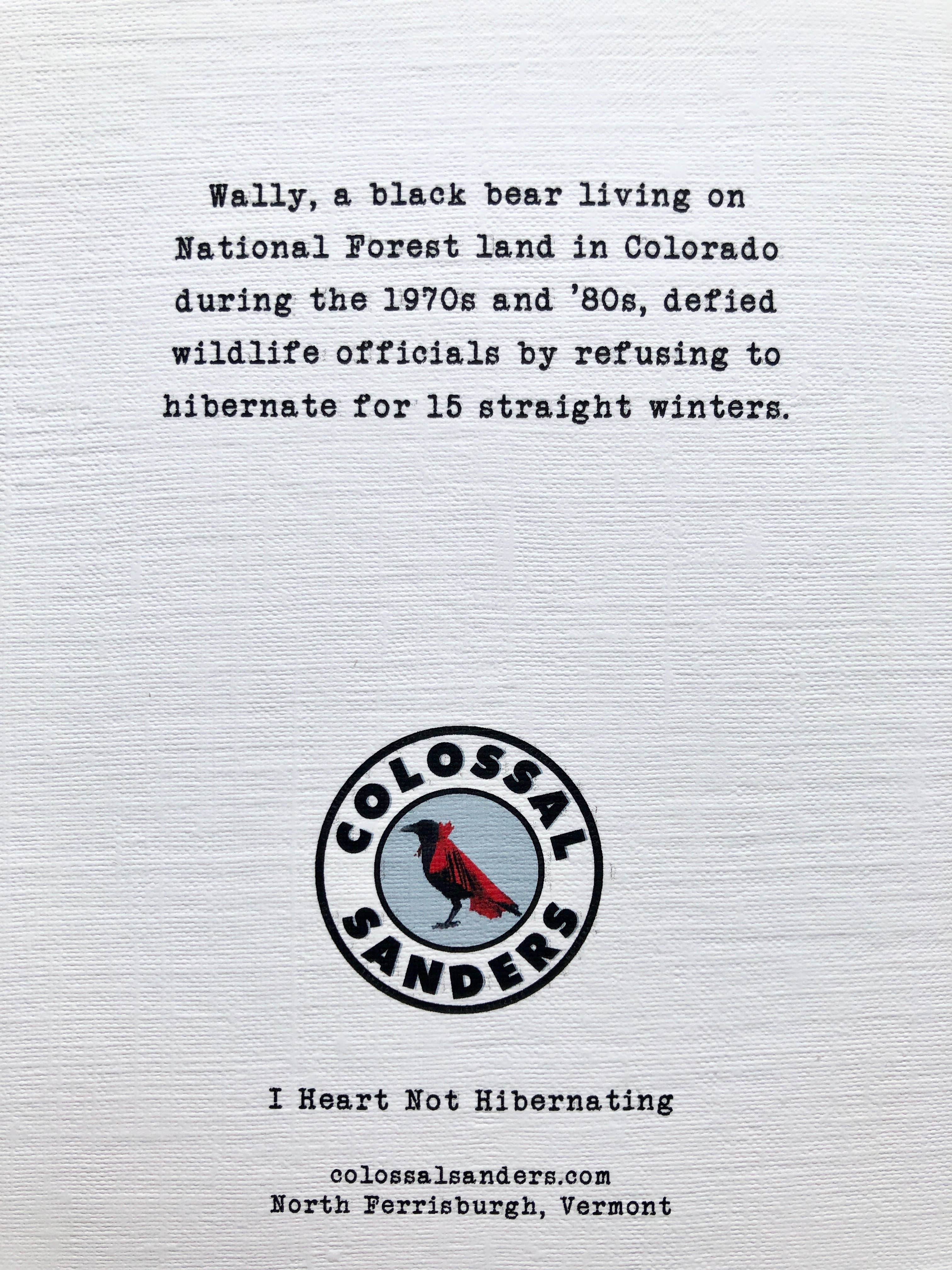 Colossal Sanders - Vendita all'ingrosso Biglietti di auguri generici - Biglietto di auguri con animali divertenti Bear Not Hibernating2