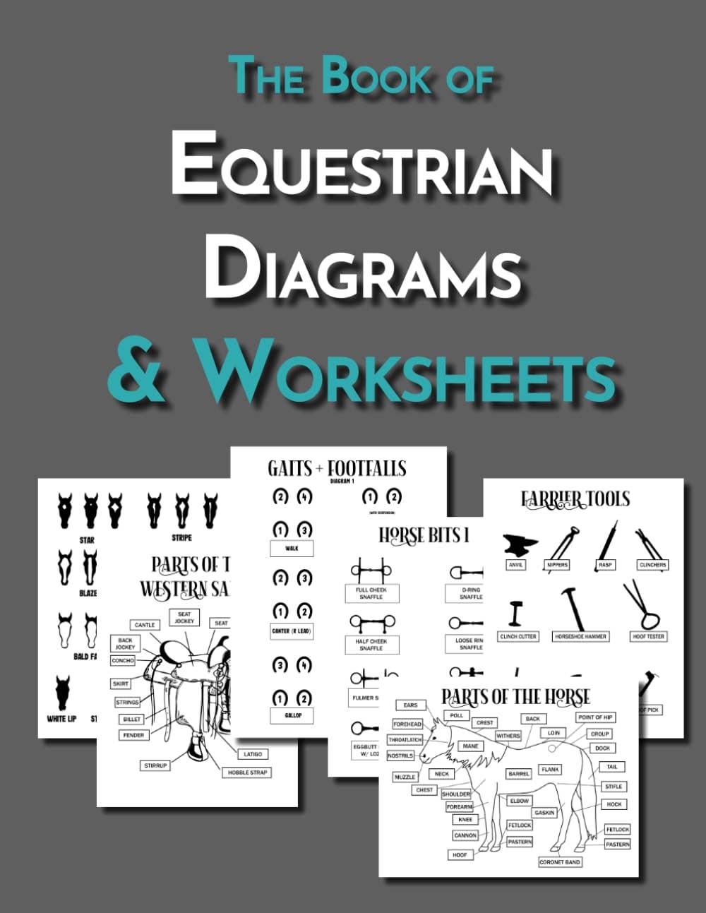 Circus Unicorn Shop - Wholesale Horseback Riding Gear - Equestrian Workbook Sampler2