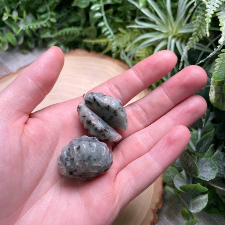 Copper Ashes - Wholesale Spiritual Stone/Crystal - Crystal Clam4