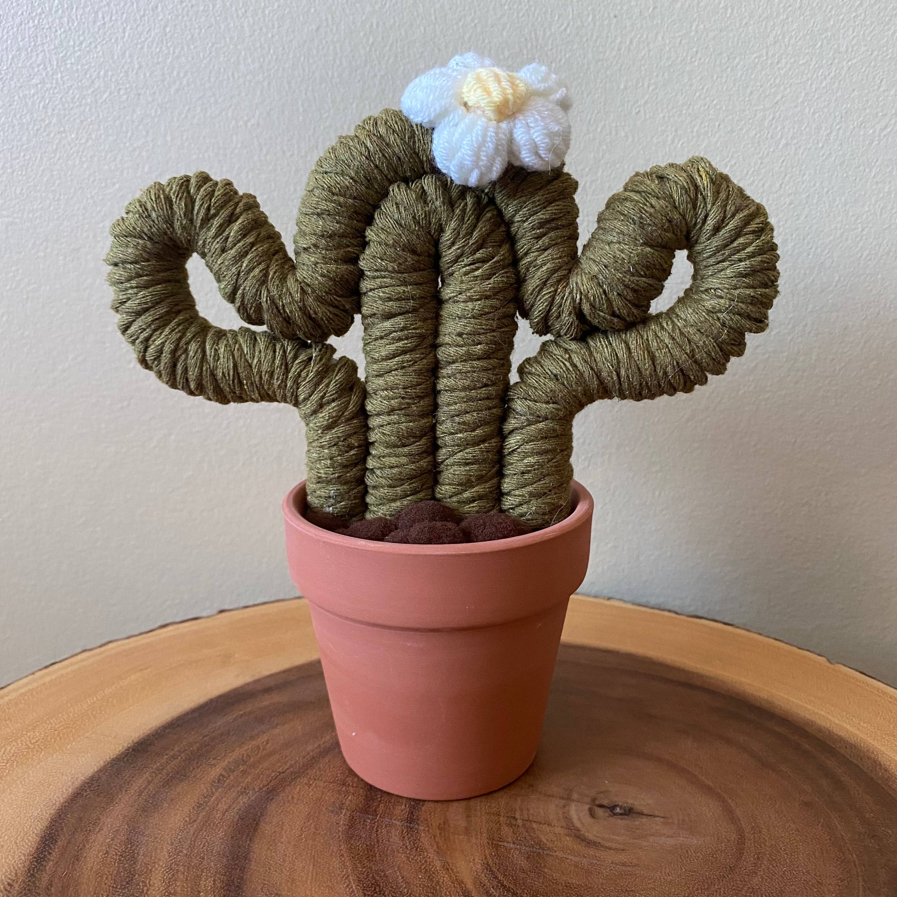 ForgetBKnot - Vente Plantes artificielles - Plante Éternelle Cactus en Macramé (Moyen & Petit)4