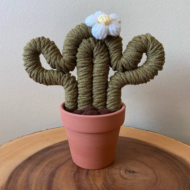 ForgetBKnot - Vente Plantes artificielles - Plante Éternelle Cactus en Macramé (Moyen & Petit)4