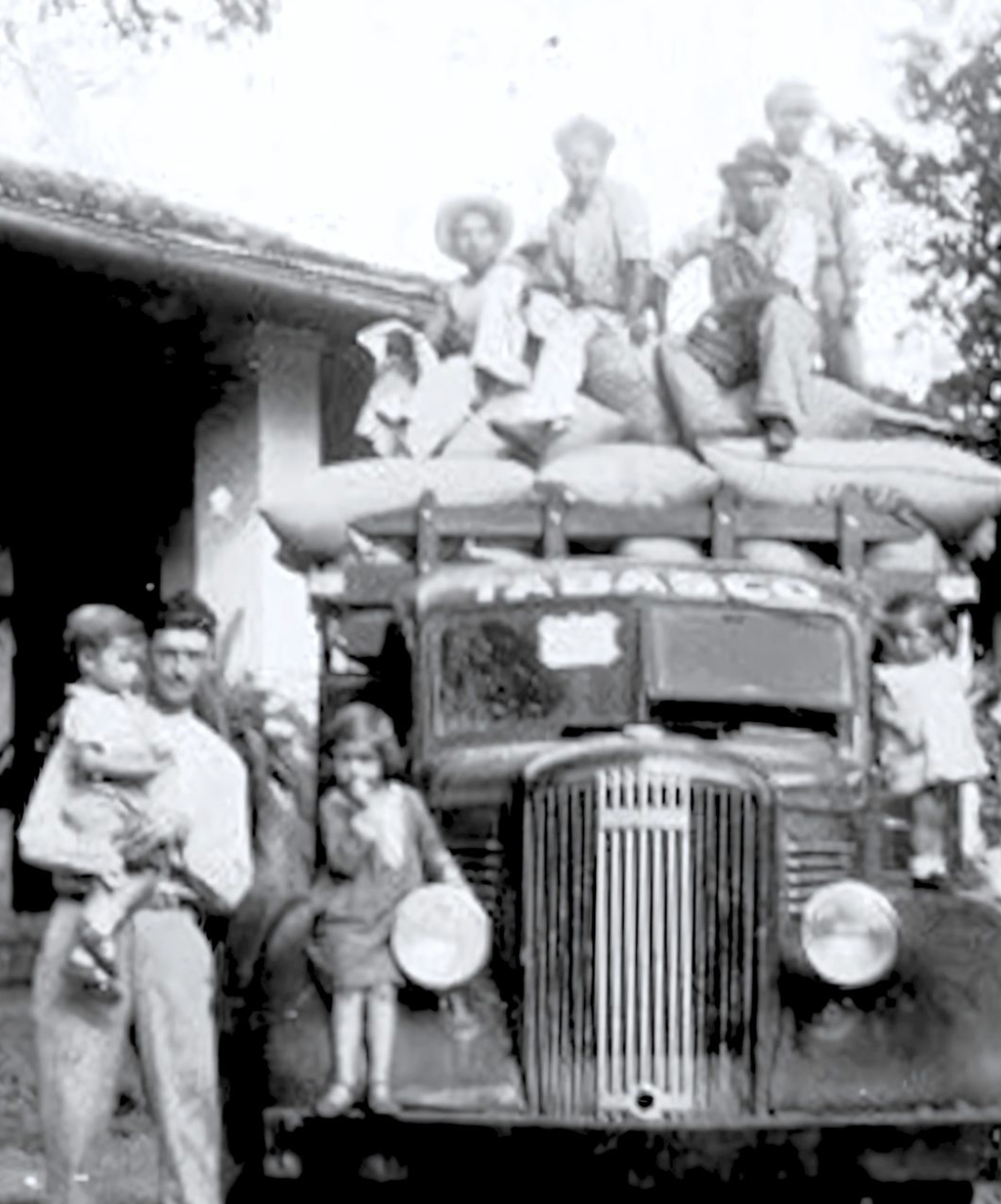 Praxis Coffee Roasters - Wholesale Coffee Beans - Rancho San Felipe, Mexico4