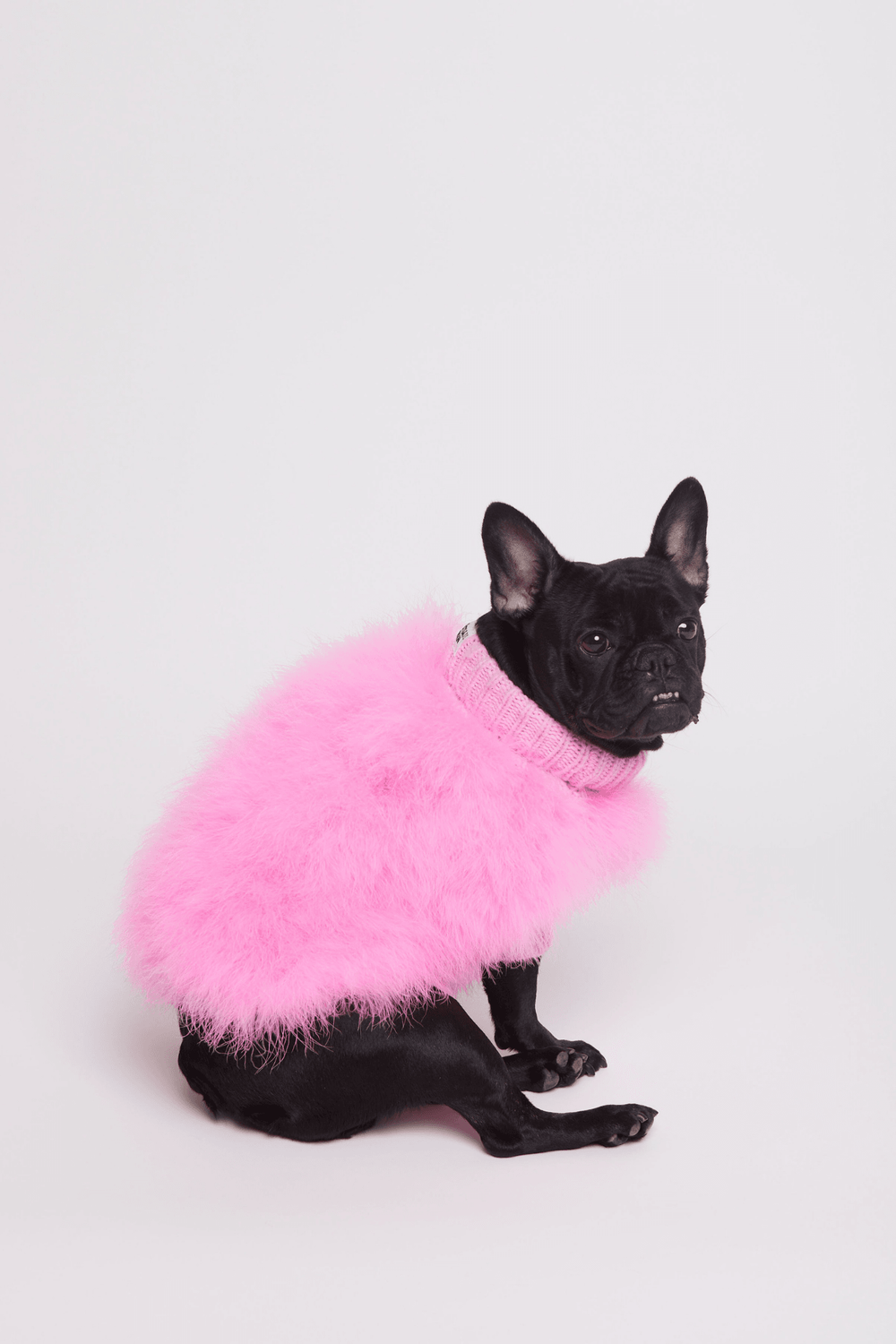 maxbone - Wholesale Pet Sweater - Dog - Christian Cowan x maxbone Dog Jumper 3