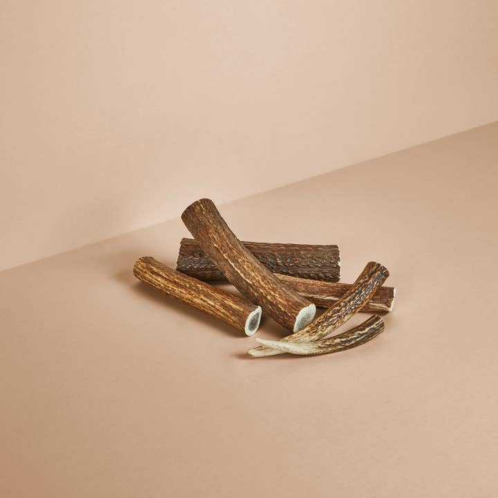 CANOPHERA GmbH - Wholesale Pet Chew Toy - Dog - Dog Chew Made of Red Deer Antlers.6