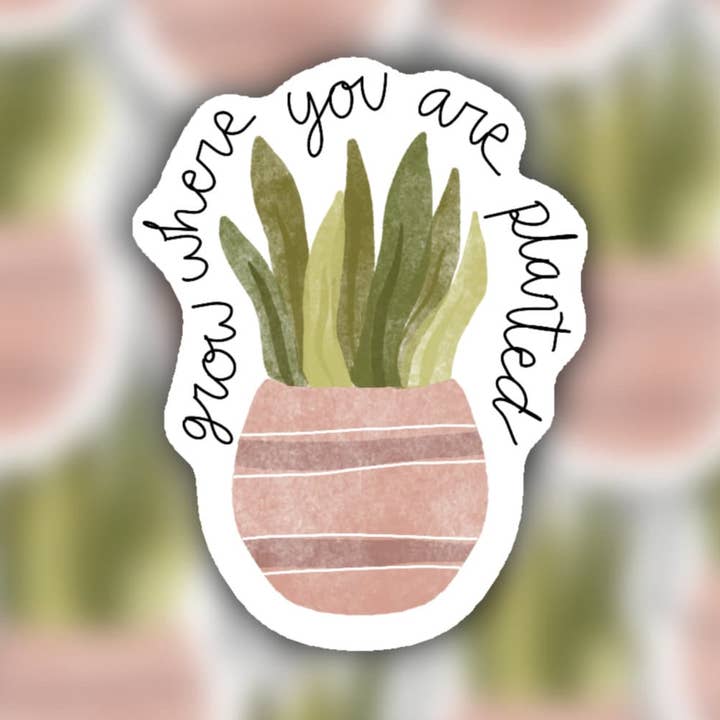 Adhesivo para plantas de serpiente para venta al por mayor de Krafted by Kin LLC