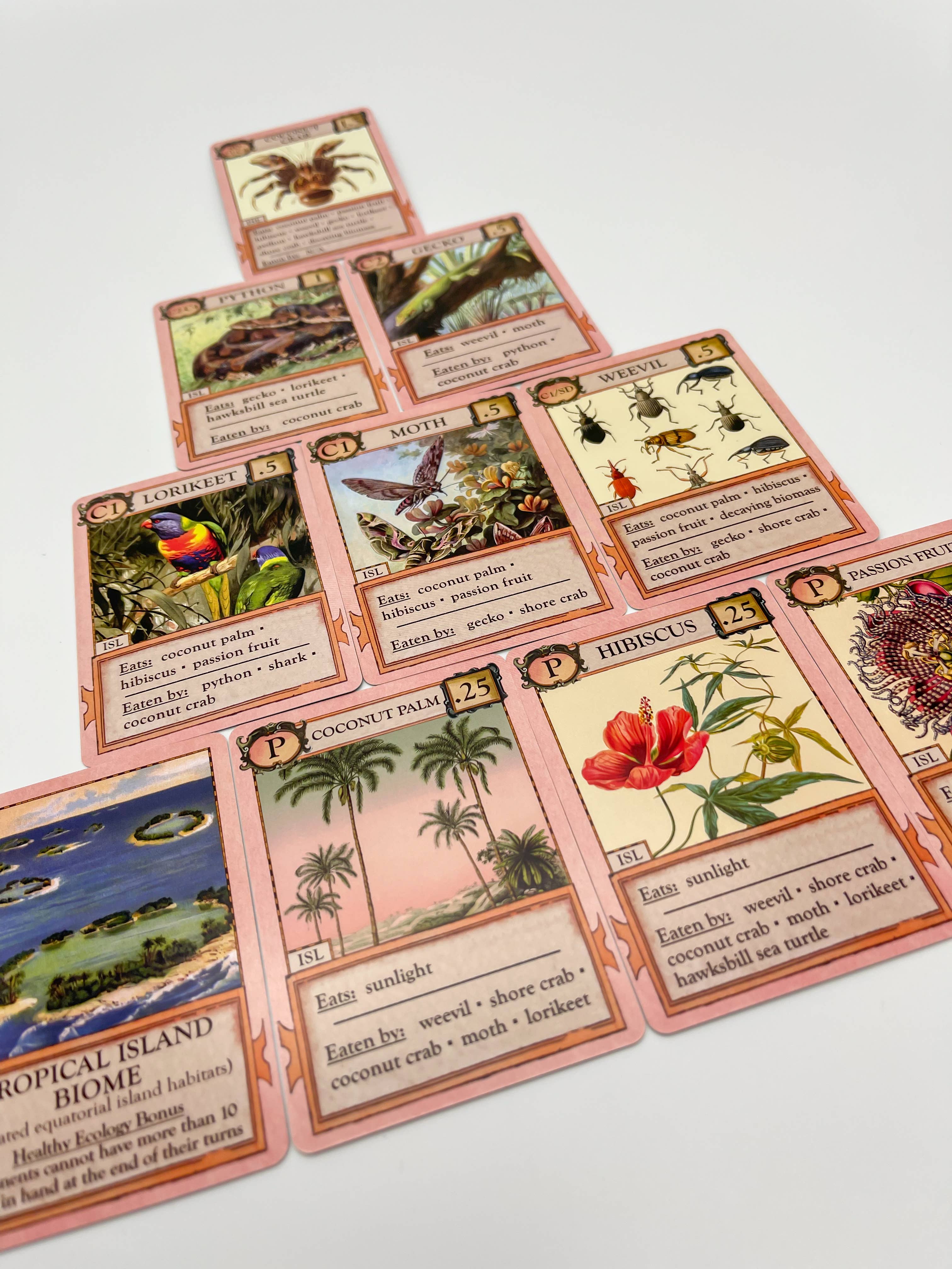Montrose Biology - Wholesale Card Game - Ecologies: Hidden Habitats Card Game2