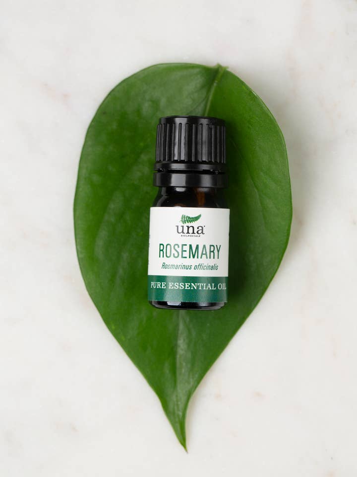 Rosemary Essential Oil for wholesale by Una Biologicals