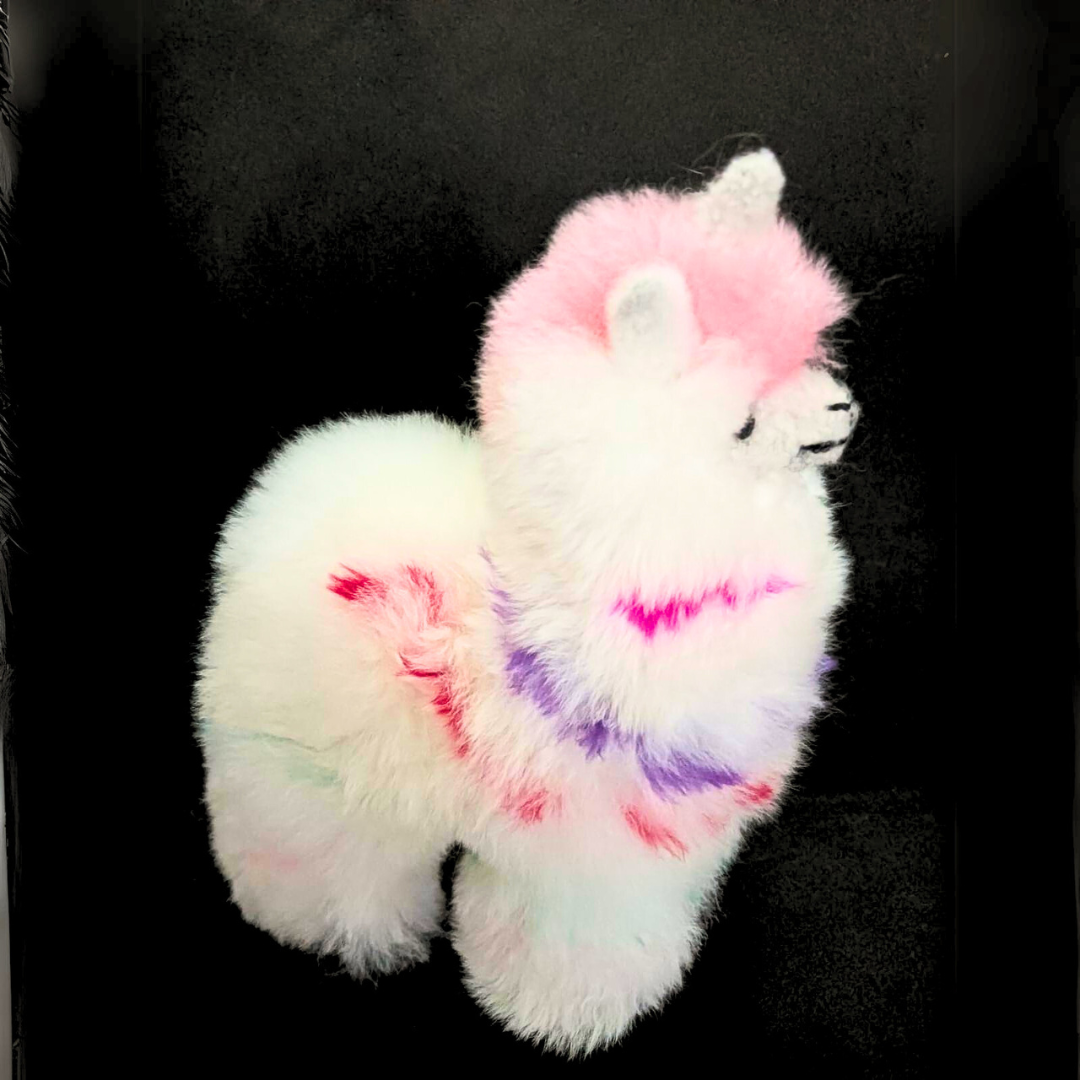 Blossom Inspirations - Wholesale Stuffed/Plush Toy - Kids & Baby - Colorinche Llamacorn17