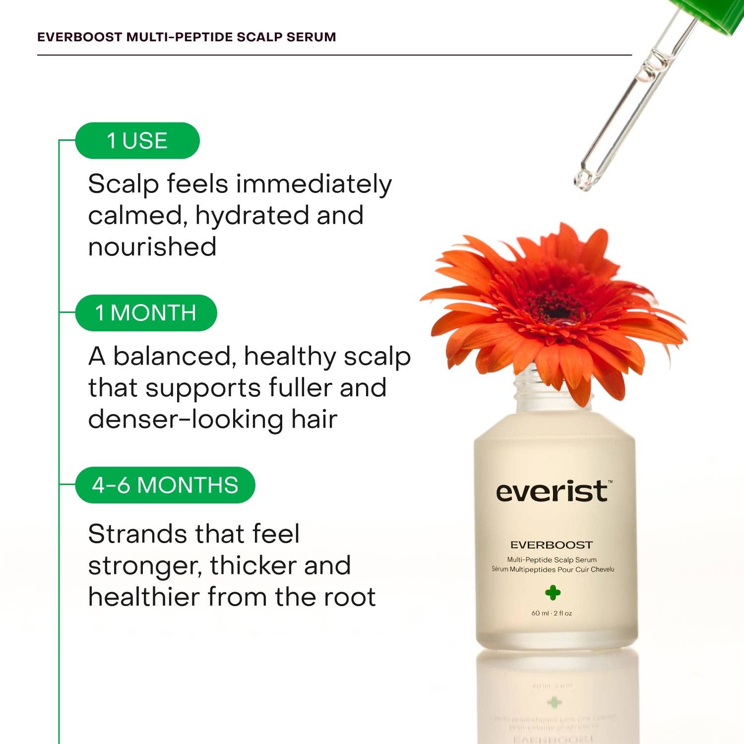 Everist - Wholesale Scalp/Hair Treatment - EverBoost Multi-Peptide Scalp Serum4