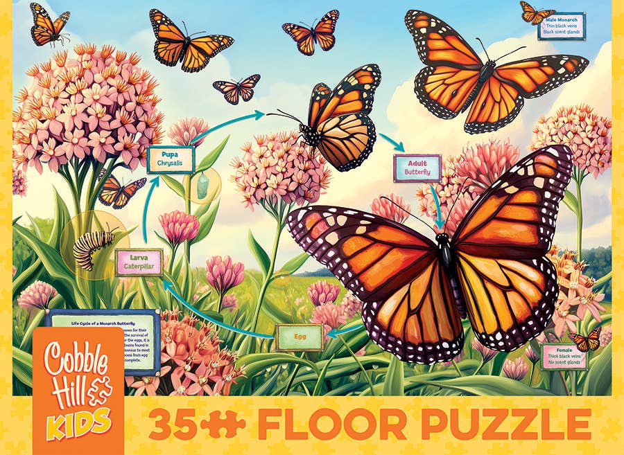Outset Games and Cobble Hill Puzzles - Wholesale Puzzle - Kids - Life Cycle of a Monarch (35pc) Floor Puzzle - Ages 3+4