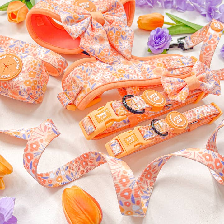 Hundeleine: Notting Hill Buttercup für den Großhandel von WYLD CUB