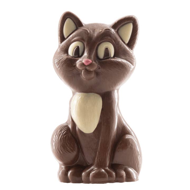 Mjölkchokladkatt 100g för wholesale av The Belgian Chocolate Makers