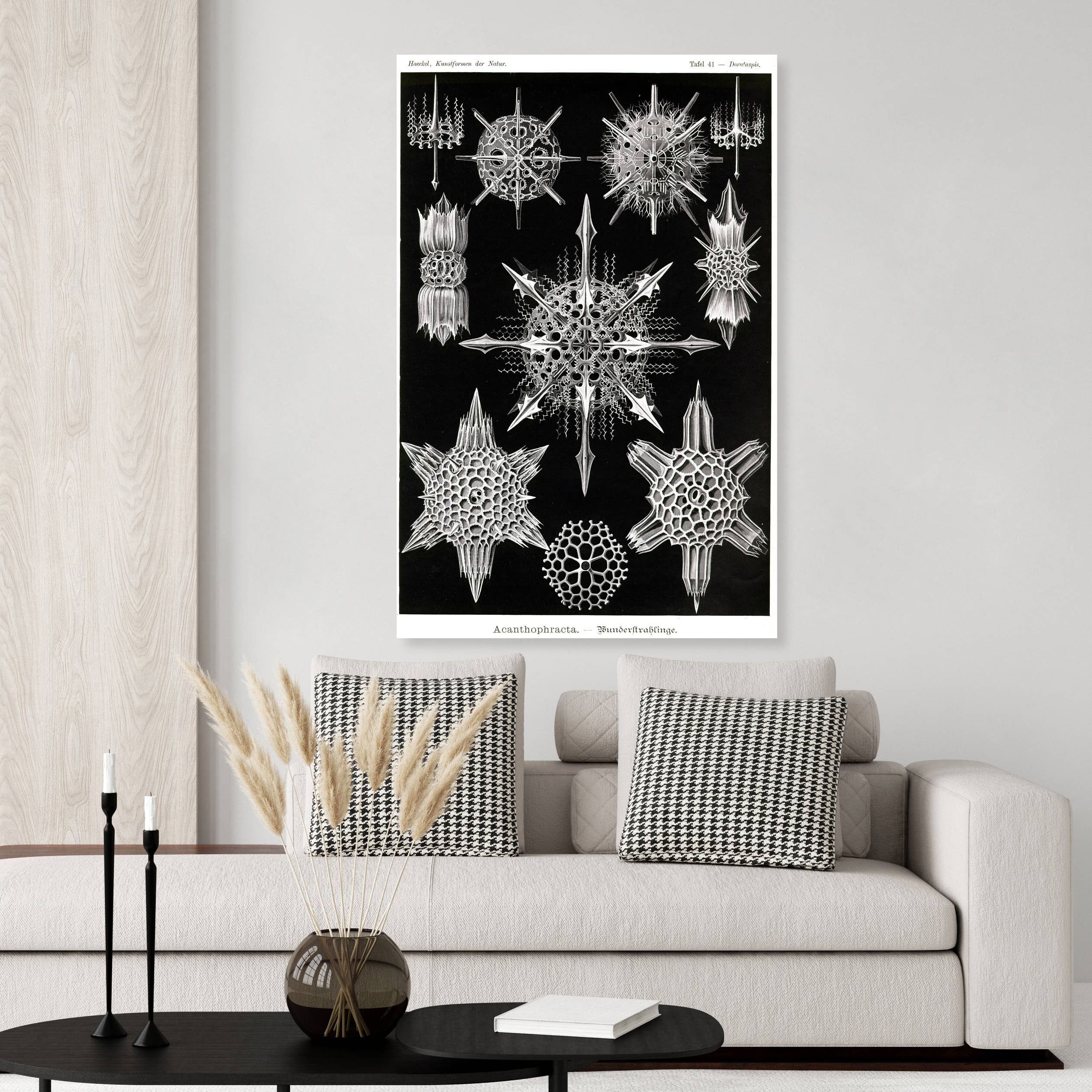 REMOVED BRAND - Wholesale Poster - Botanical-0120