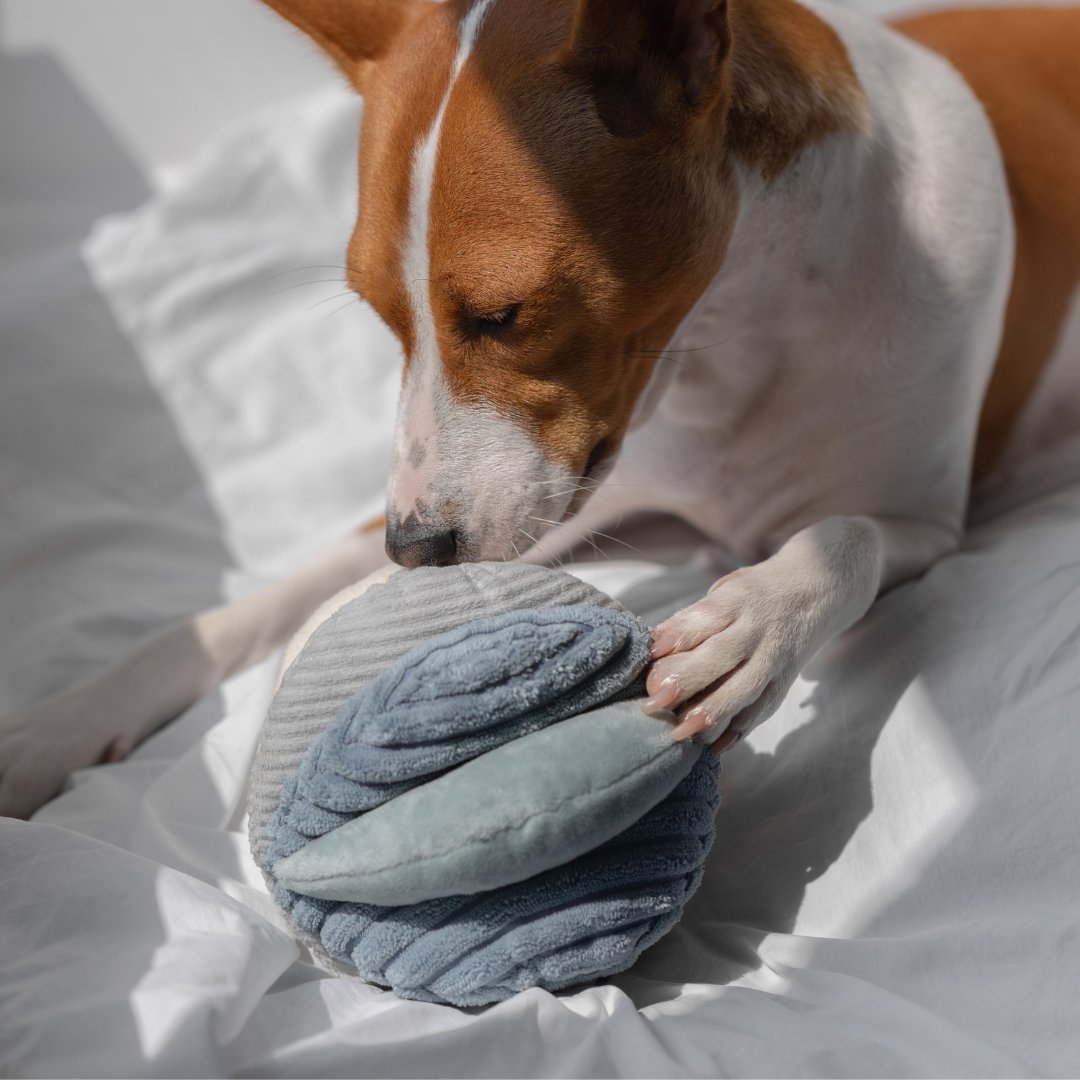 Lambwolf EU - Vendita all'ingrosso Giocattolo - Cani - TOTO giocattolo arricchente per animali7