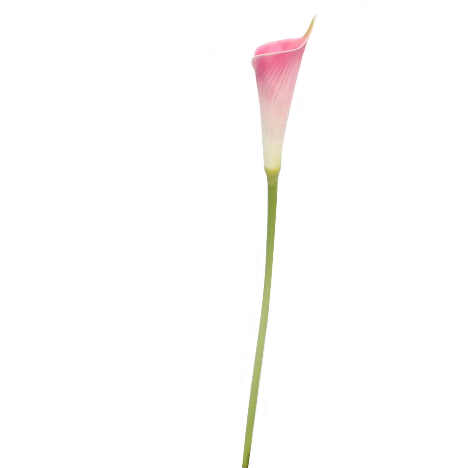 Angel Isabella - Wholesale Artificial Flowers - 24"Long Premium Lifelike Real Touch Artificial Calla lily8