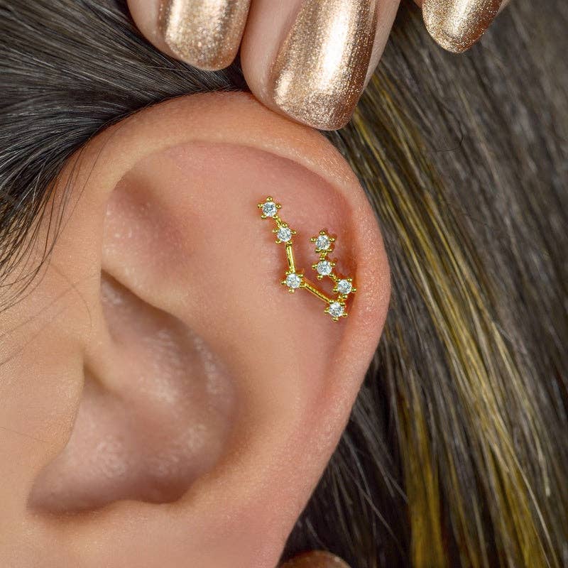 StockJWL - Wholesale Stud/Post Earrings - 12 Zodiac Earrings, Constellation Stud Earring Stud Piercing Tragus Helix Lobe and Cartilage Silver And Gold13