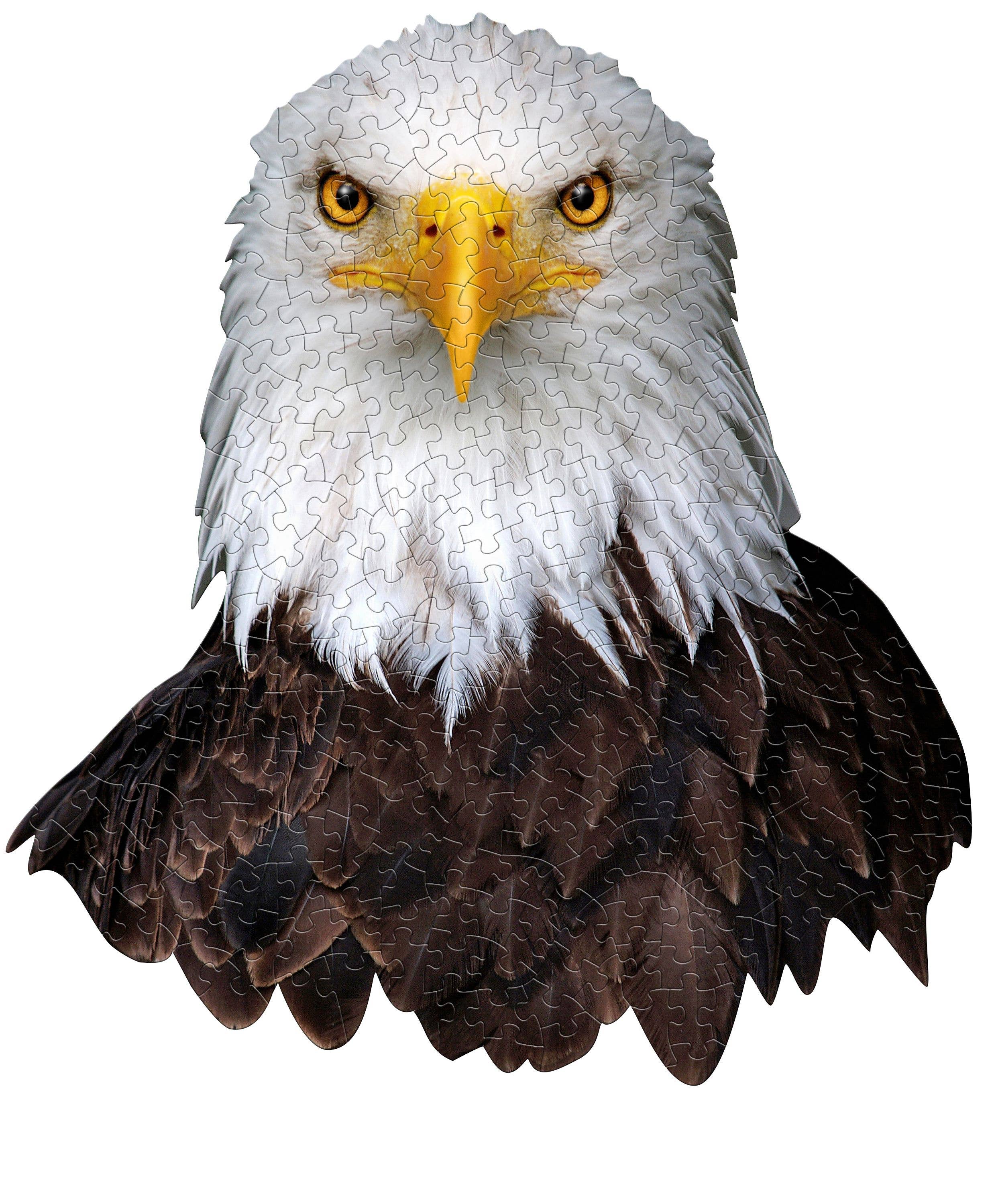 Madd Capp Games & Puzzles - Wholesale Puzzle - Adult - I AM Eagle 300 piece jigsaw puzzle - gift5