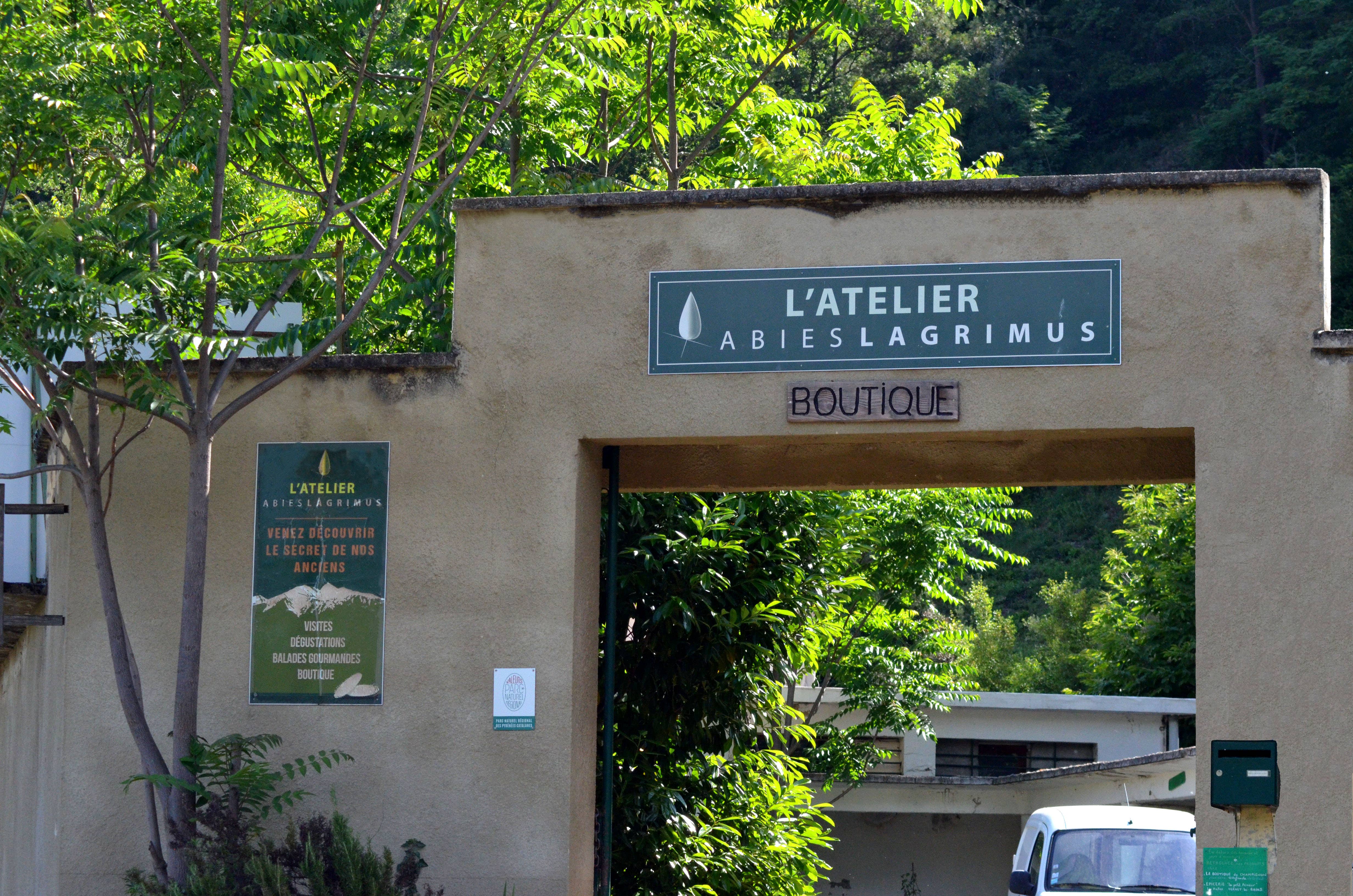 ABIES LAGRIMUS - Wholesale Maple Syrup - LAGRIMUS: Sirop de Sapin des Pyrénées BIO  Epicerie Fine3