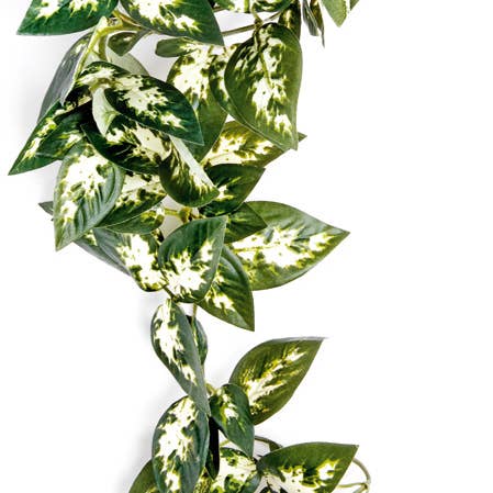 Vid colgante Borneo, 40 cm para venta al por mayor de Happy Pet Products Ltd