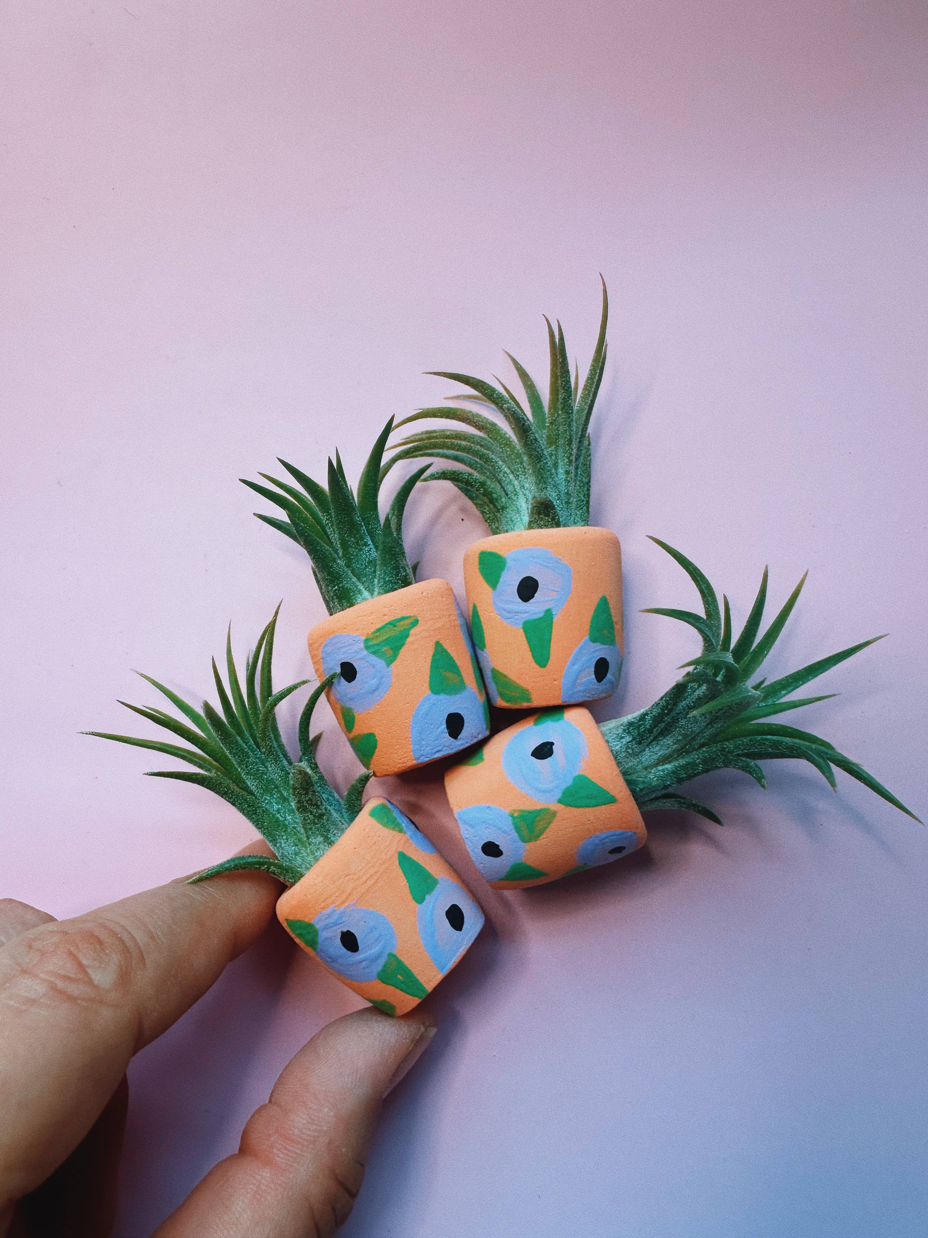 O'Berry's Succulents - Wholesale Plant Pot - Petunia Mini Planter1