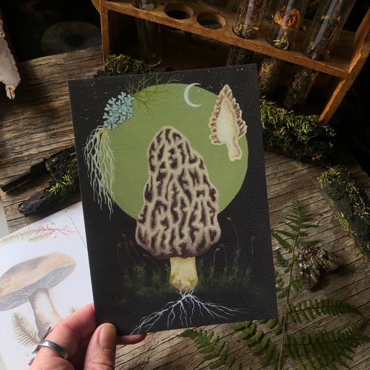 Up Moss Creek Studio - Wholesale Postcard Set - Mushroom Postcard Set (3)2