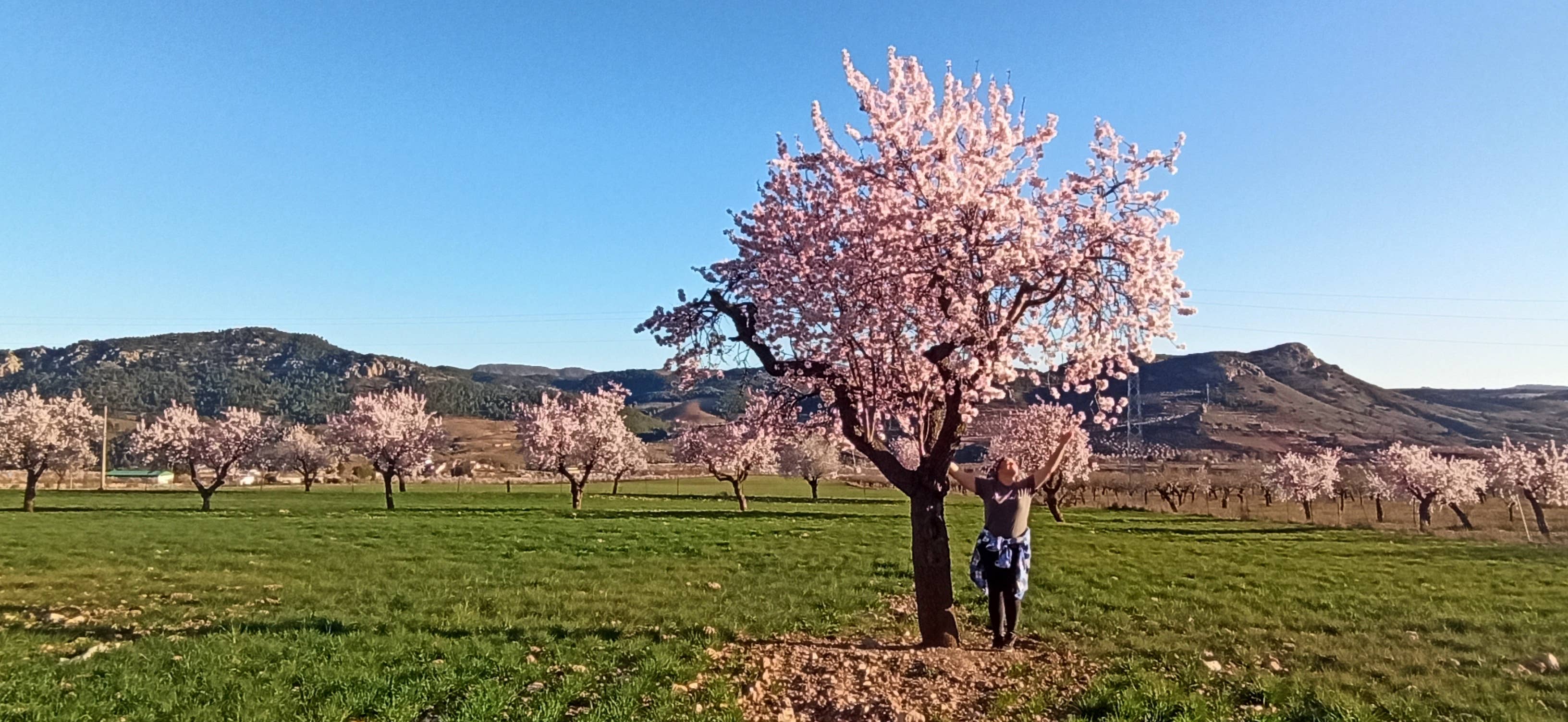 La Almendrehesa - Vente Panier garni - NOUVEAU PACK Produits éco-régénératifs La Boîte des rêves4