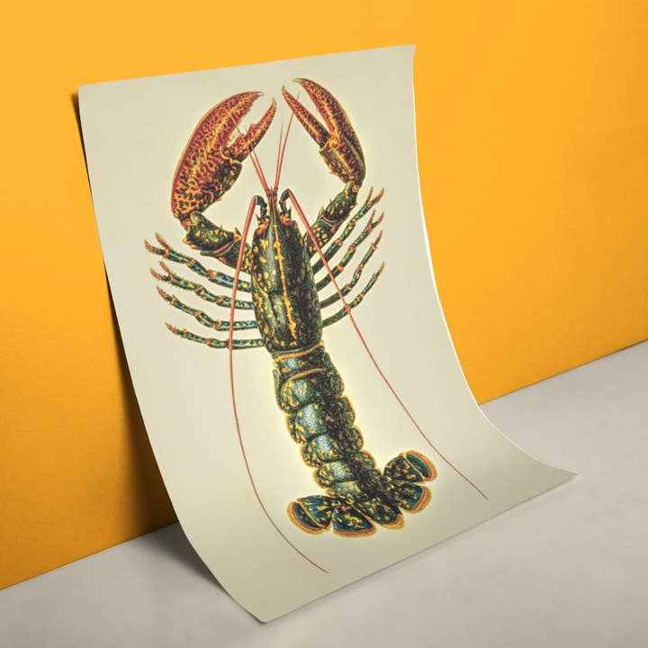 Hummer Vintage Poster für den Großhandel von reetro