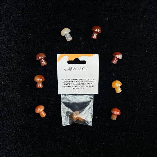Pelham Grayson Rose – wholesale Spiritual stone/crystal – Apparently These Mushrooms...7
