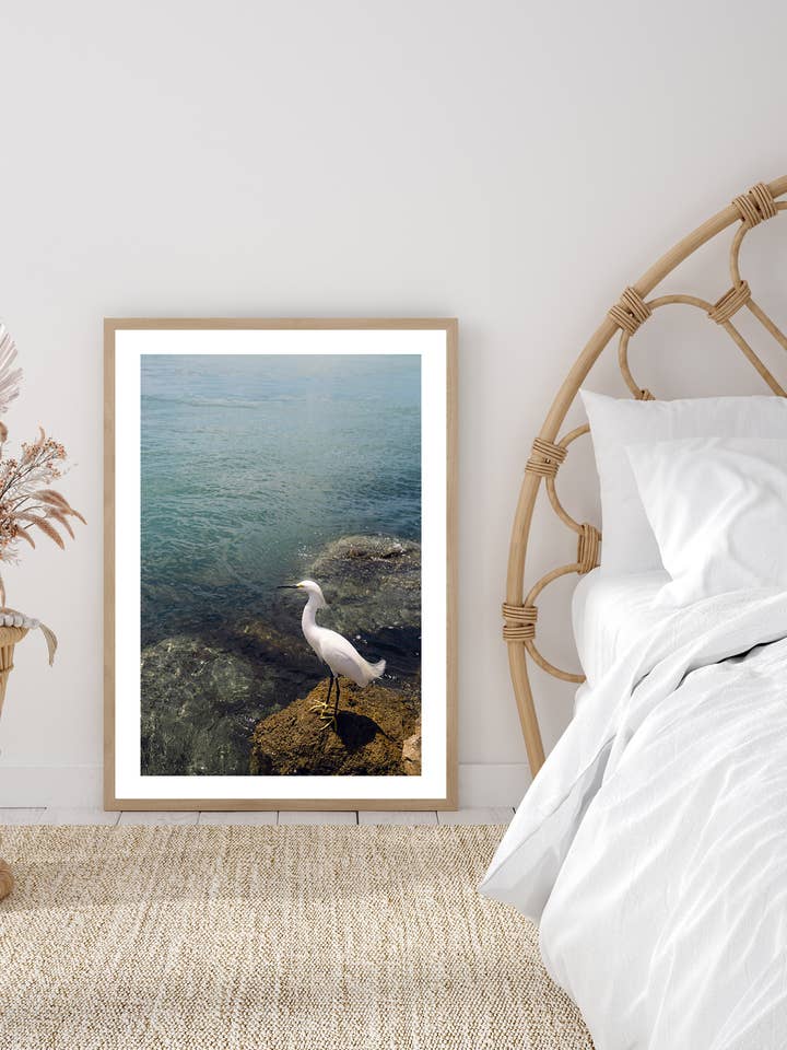 Fotografia de arte minúscula Egret por atacado de The East Experience