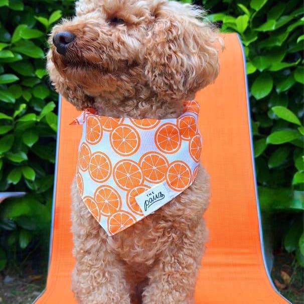 The Paws - Wholesale Pet Bandana - Dog - Fresh Slice Dog Bandana