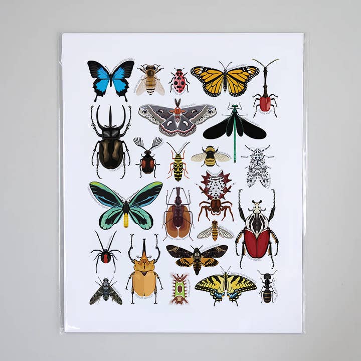 Insects - Educational Nature Art Print for wholesale by Beehive 95 Designs