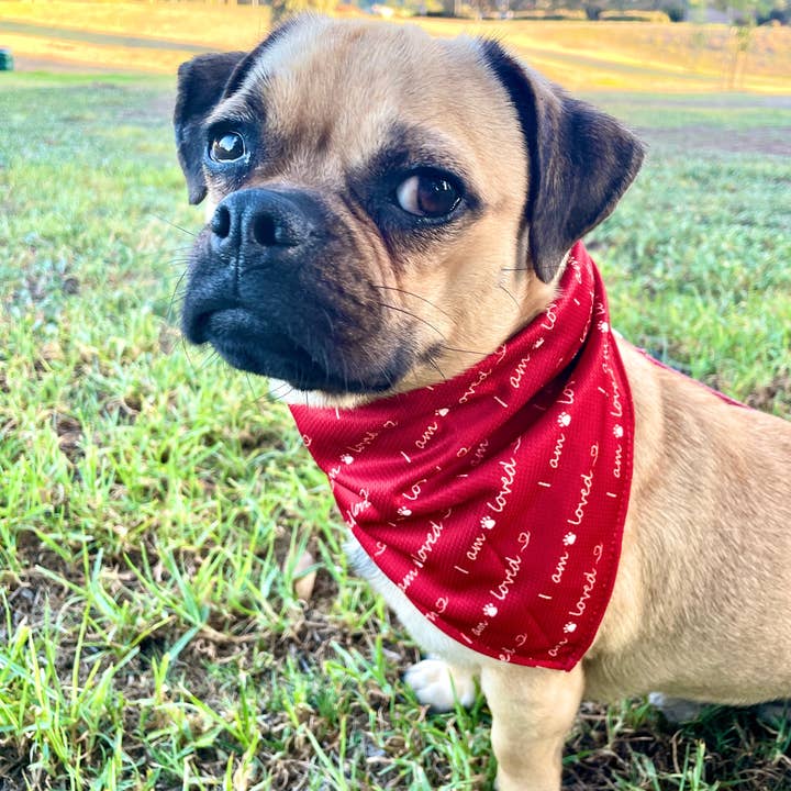 Giving Paws - Wholesale Pet Bandana - Dog - I am Loved Dog Bandana