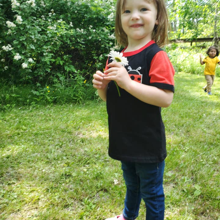 Doodle Pants - Wholesale T-Shirt - Kids - Ladybug Toddler and Kids Shirt