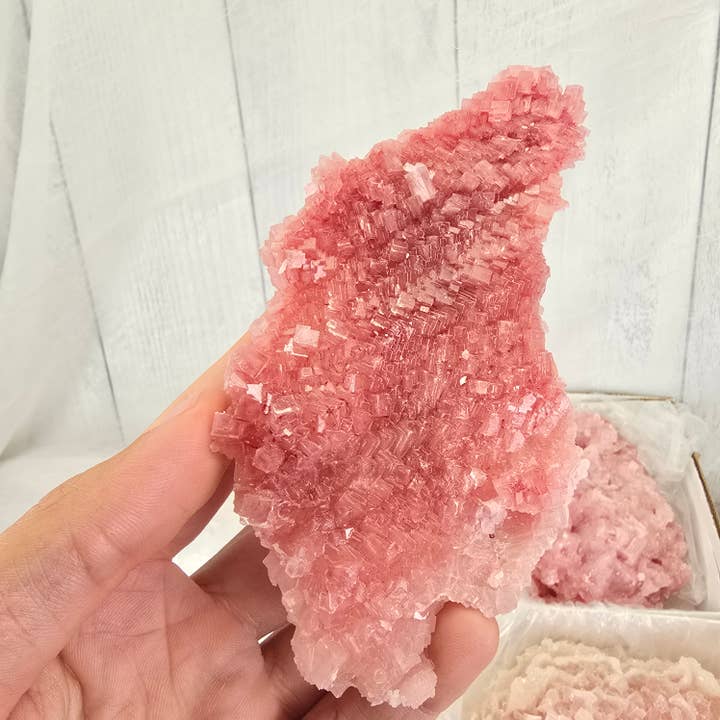 Aquamarine Daydream Wholesale - Wholesale Spiritual Stone/Crystal - 6pc Pink Halite ~ Mineral Specimen ~ Bulk Crystal Flats
