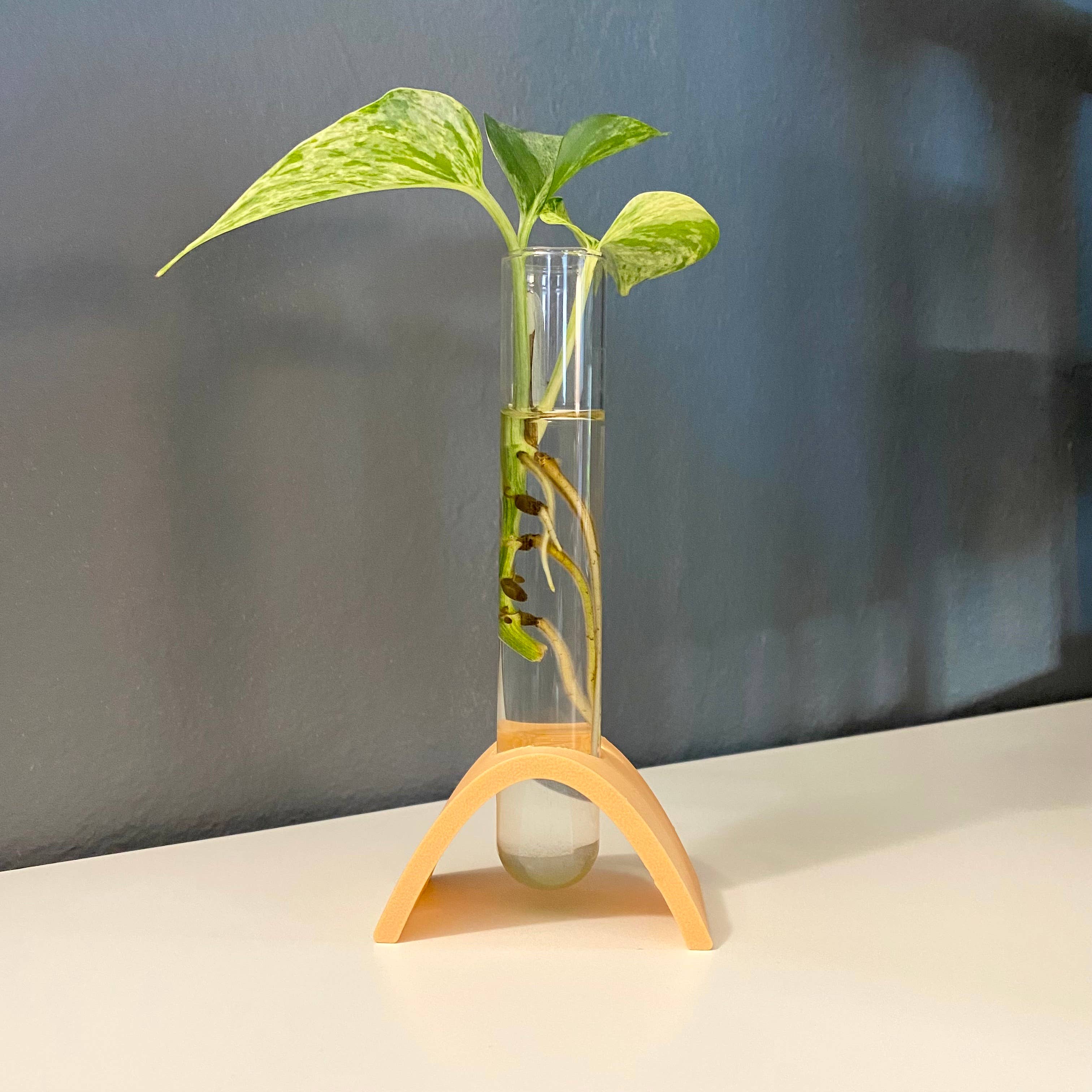 Plant Voyage - Venta al por mayor Macetas - Estación de propagación curva impresa en 3D, soporte de propagación2