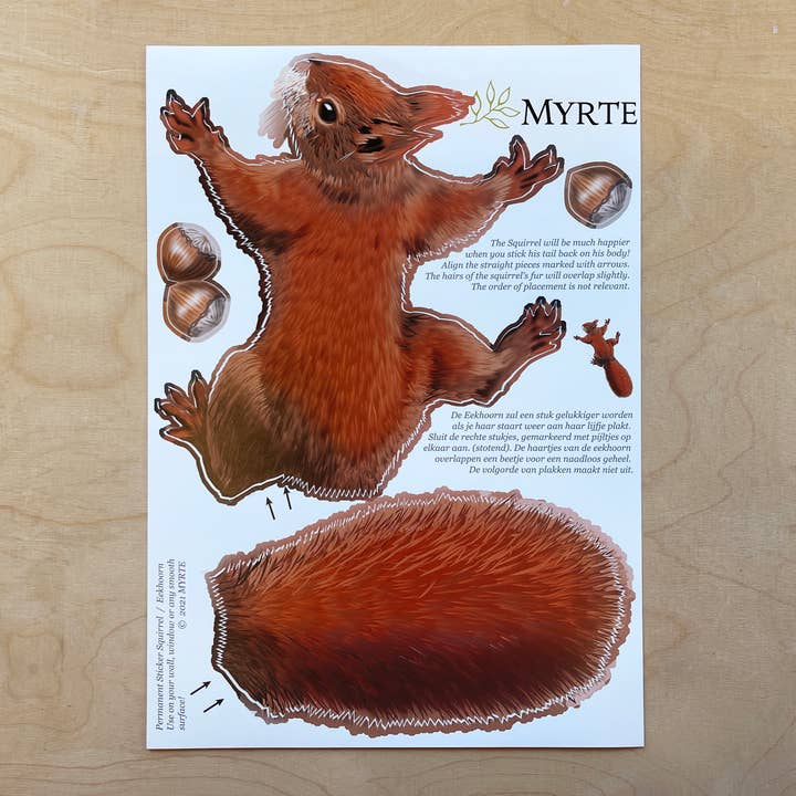 MYRTE - Wholesale Wall Decal/Stickers - Squirrel Illustration Wall Decal Wall Stickers2