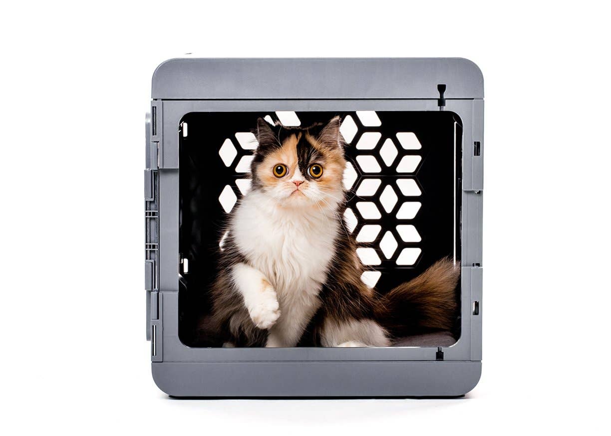 KindTail - Wholesale Pet Carrier - Dog - Small Pawd® | Modern Collapsible Plastic Dog & Pet Crate (To2