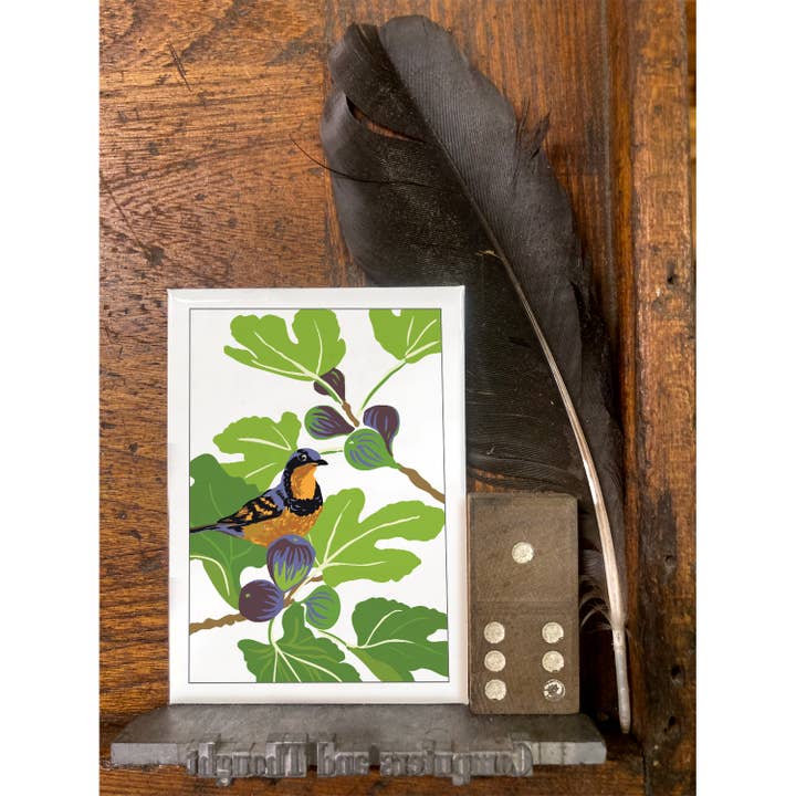 Rigel Paper - Wholesale Magnet - RBI-142 Varied Thrush & Fig Tree Magnet: Birds and Fruit1