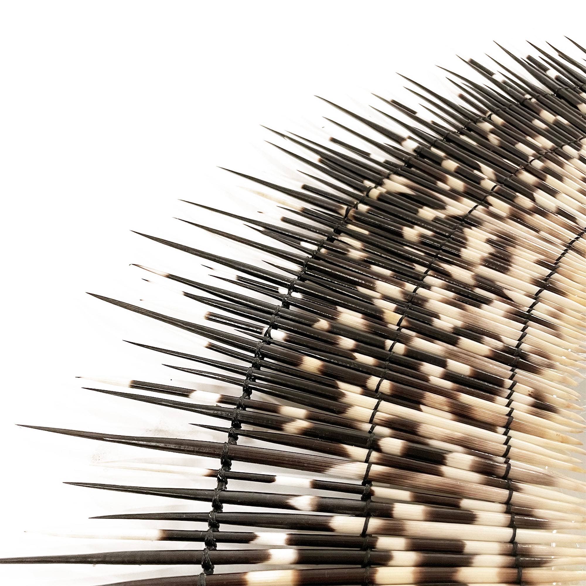 OUTPOST ORIGINAL - Wholesale Wall Mirror - Melela African Porcupine Mirror2