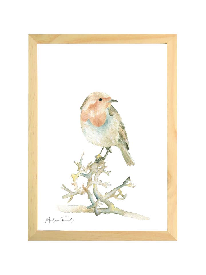 Tegnet og trykt dyreramme - Judi Le Petit Oiseau for engroshandel hos Les aquarelles de Marlene