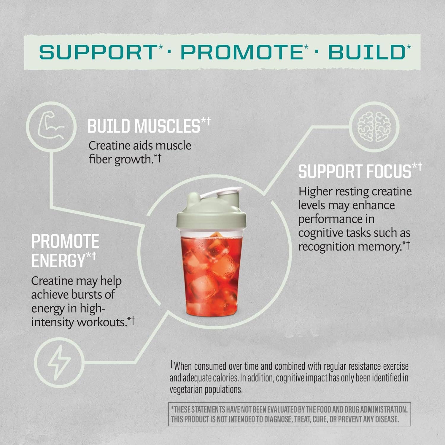 Sunwarrior - Wholesale Protein/Superfood Powder - Unflavored Active Creatine Drink Powder - Vegan, 300 grams3