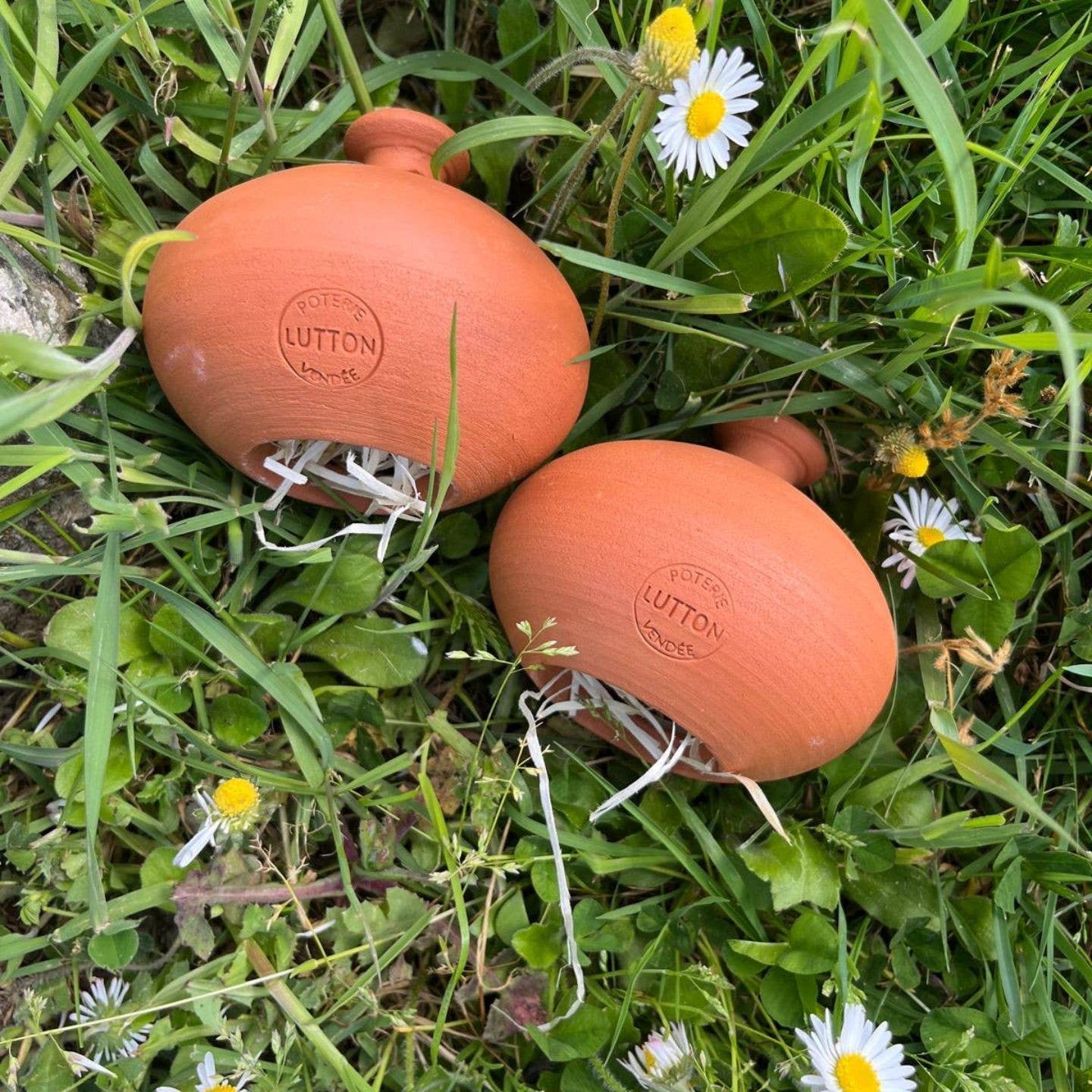 Poterie lutton – wholesale Trädgårdsverktyg – Öronvigg för tvestjärtar2