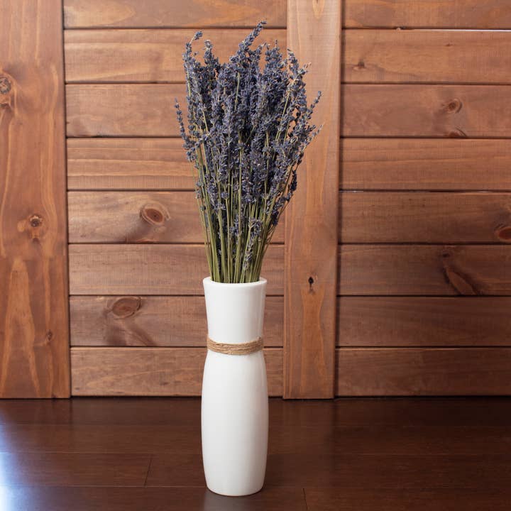 Andaluca - Wholesale Dried/Pressed Flowers - French Lavender Bundle