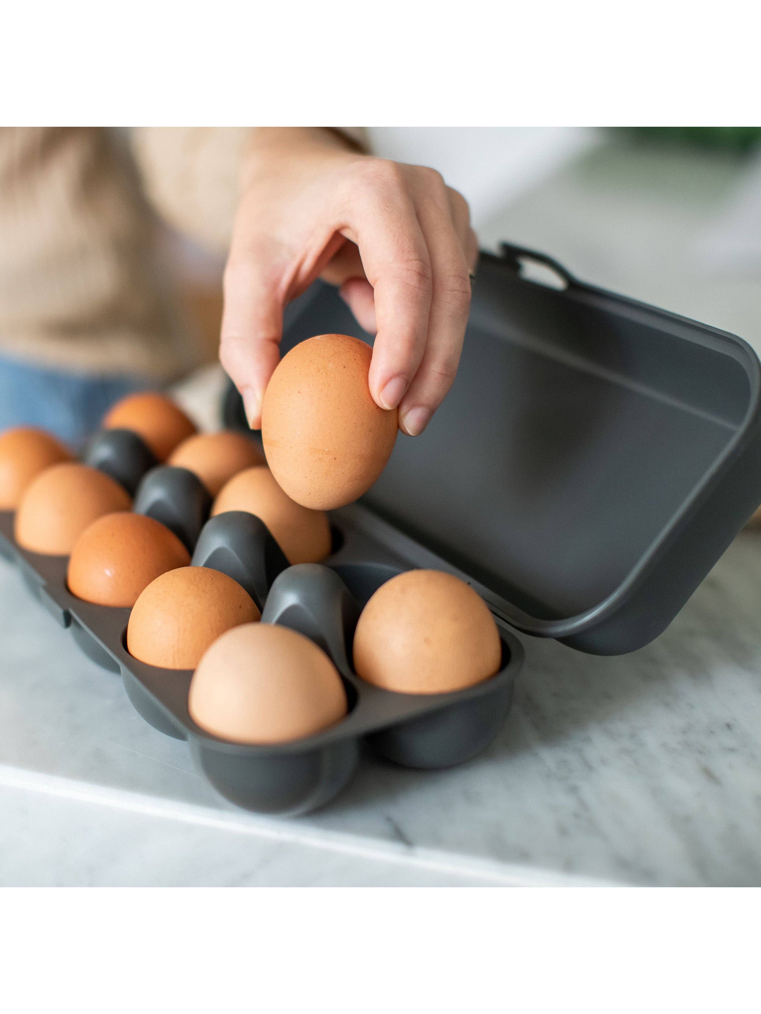 Nature ash grey Egg box EGGS TO GO for wholesale on Faire2