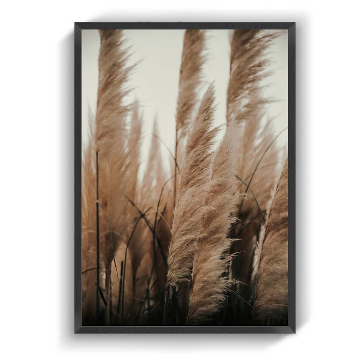 Erbe per la vendita all'ingrosso da parte di IMotive