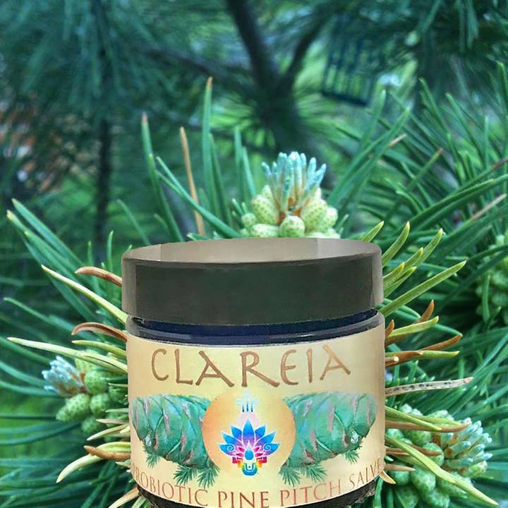 Probiotic Pine Pitch Salve ~ Organic - Wildcrafted | Wounds - Cuts - First-aid - Inflammation - Splinter - Eczema - Bug bites for wholesale by CLAREIA