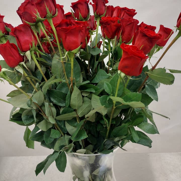Napco - Wholesale Artificial Flowers - Fresh Cut Roses, Freedom Red 40 cm Item # AFB Freedom0