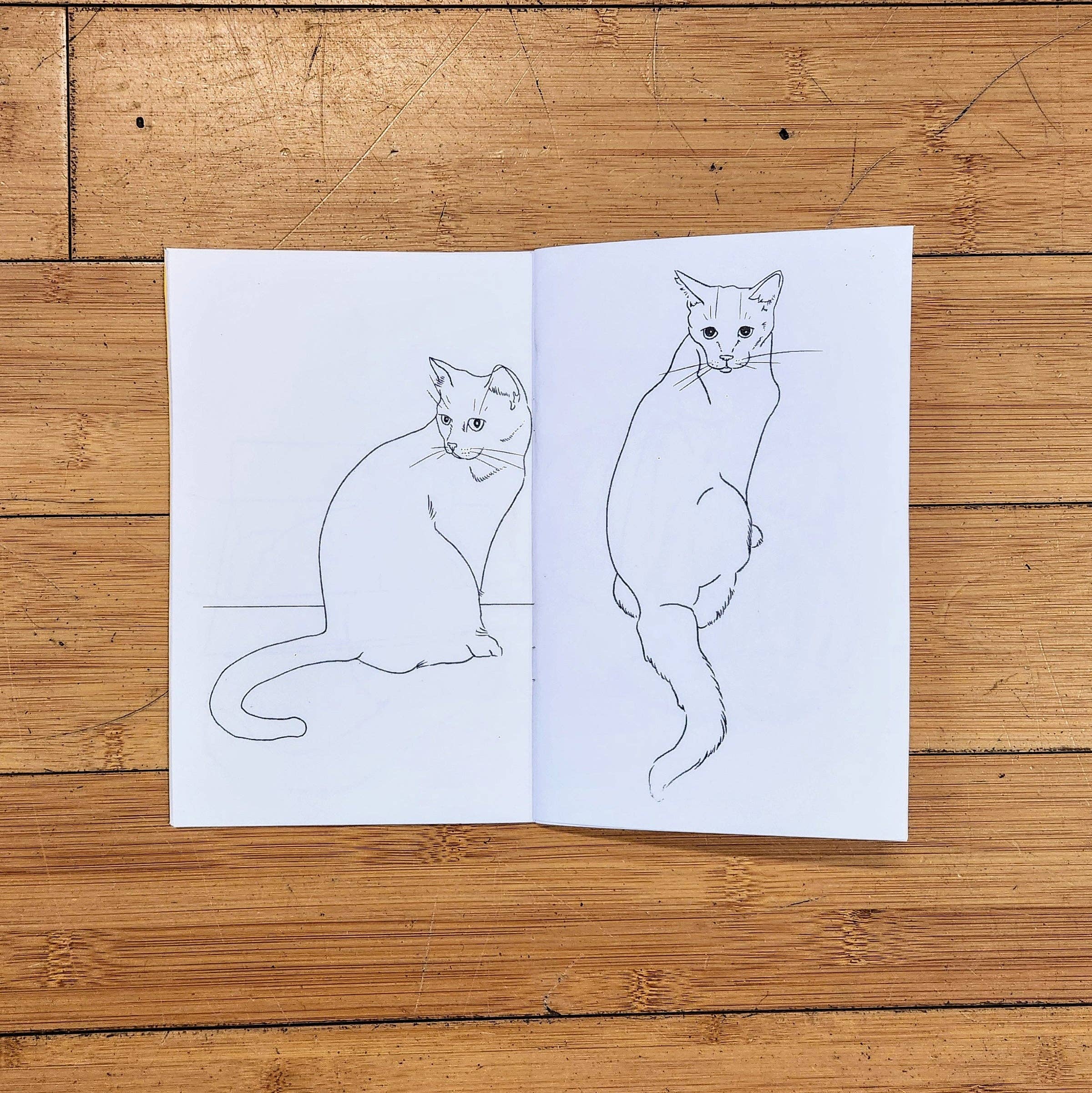 Push/Pull Press – wholesale Målarbok - Barn och baby – Färglägg en kattgrupp: Kattfärgbok av Maxx FG1