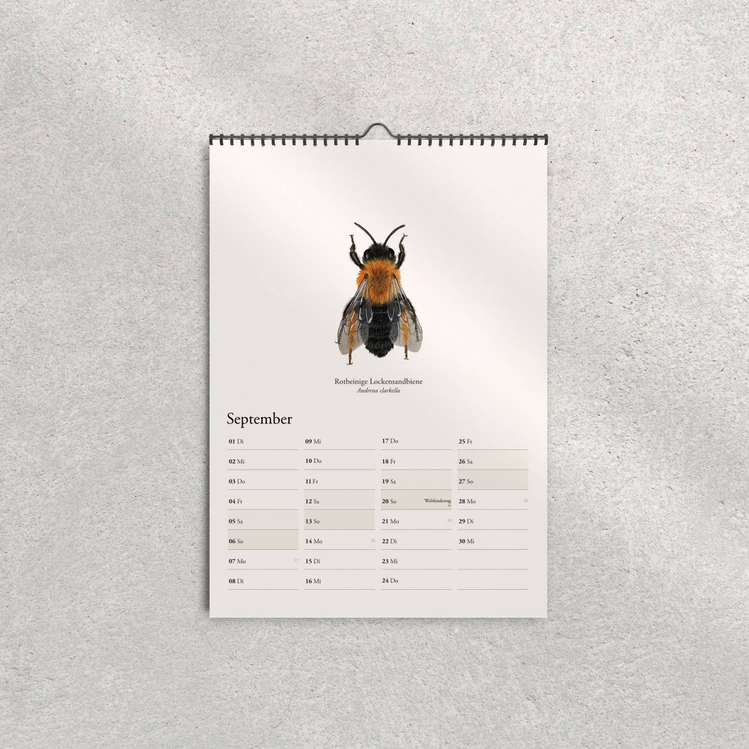 Terillu - Wholesale Calendar - Calendar 2026 – Wall Calendar Native Wild Bees6