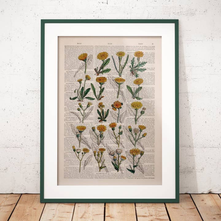 Dandelion Art Print for wholesale by PRRINT!